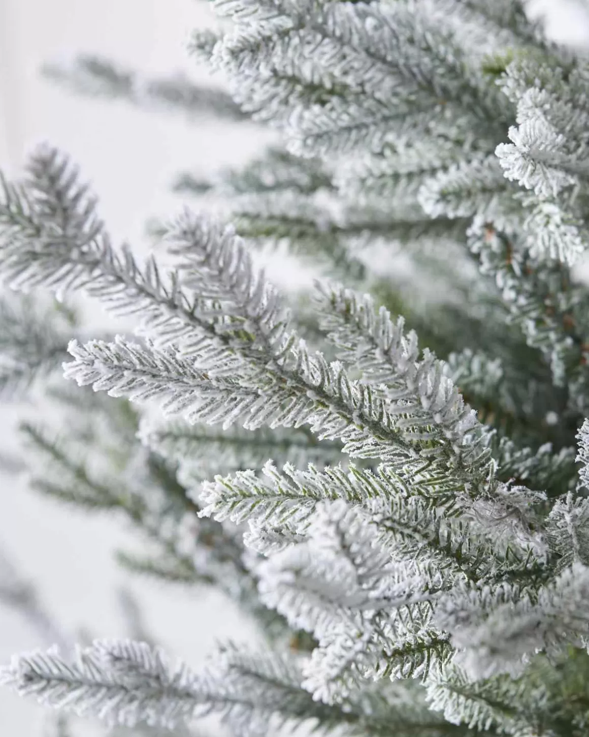 Christmas Place 5Ft Snowy Norway Spruce Tree Hot