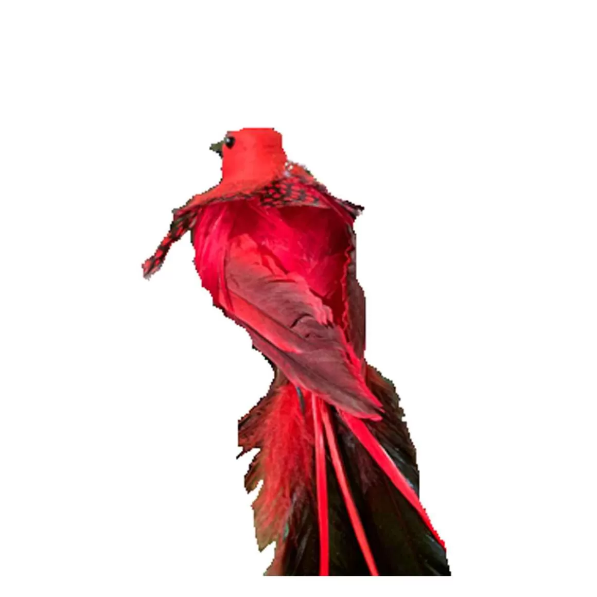 Christmas Place 8In Red Longtail Bird Best