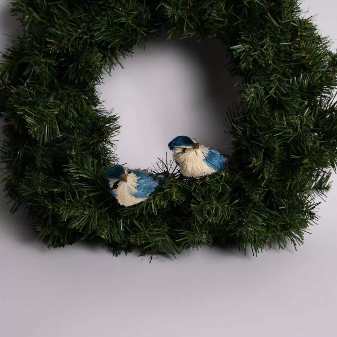 Christmas Place Bristle Blue Jay Shop